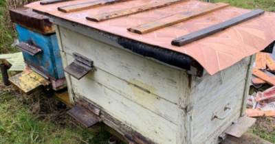Жителю Полесского района грозит до пяти лет колонии за кражу ульев с пчёлами