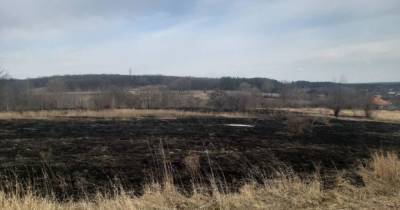 Под Харьковом горела сухая трава: на месте пожара обнаружено тело женщины