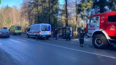 В ДТП с микроавтобусом во Всеволожском районе четверо пострадавших