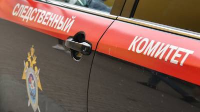 СК проверит инцидент девочкой, которая упала в обморок в московской школе