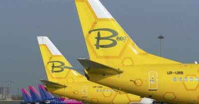 Авиакомпания Bees Airline начала продажу билетов на международные рейсы
