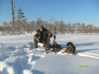 Прилузье и Троицк-Печорск закрыли официальный сезон охоты на волков внушительными цифрами