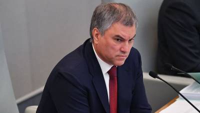 Володин прокомментировал протест в Грузии из-за визита Познера