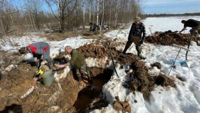 В Ржевском районе Тверской области поисковики обнаружили останки восьми красноармейцев