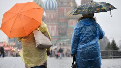 Москвичей предупредили о дожде и мокром снеге