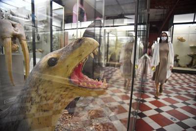 Зоологический музей пригласил москвичей на экскурсии в выходные дни