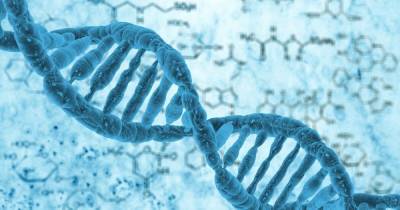 ДНК живых организмов можно собирать из воздуха, - ученые