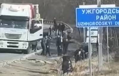 На Закарпатье дальнобойщики устроили массовую драку посреди дороги: потасовка попала на видео