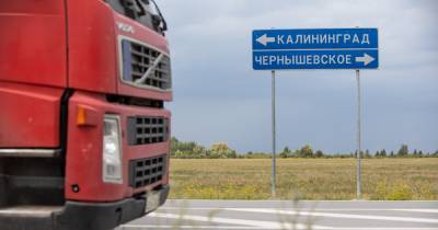 110 грузовиков на выезд из России и 100 — на въезд: ситуация на границе с Литвой на 1 апреля