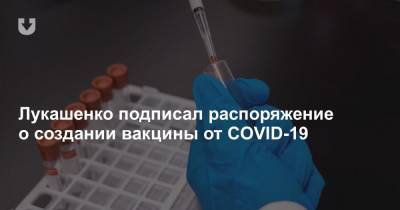 Лукашенко подписал распоряжение о создании вакцины от COVID-19