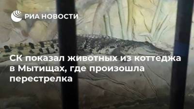 Владимир Барданов - СК показал животных из коттеджа в Мытищах, где произошла перестрелка - ria.ru - Москва