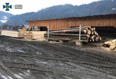 СБУ заблокувала масштабний нелегальний експорт деревини