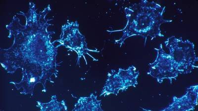 Биологи выявили влияние витамина B1 на раковые клетки