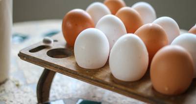 Где в этом году можно купить дешевые яйца