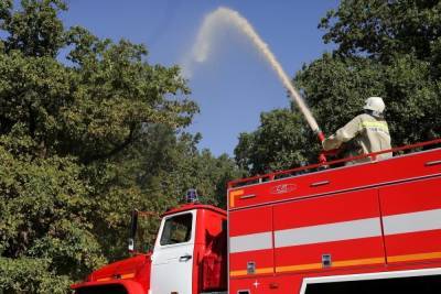 В Волгоградской области с 1 апреля объявили пожароопасный сезон