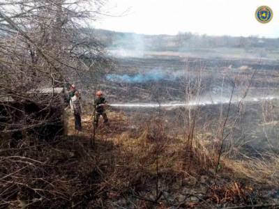 В Черкасской области поймали поджигателя, из-за которого сгорело 5 гектаров
