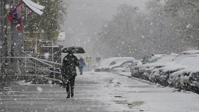 МЧС предупредило о мокром снеге и заморозках в Ленобласти
