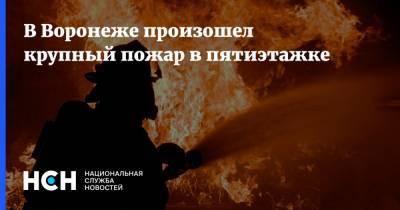 В Воронеже произошел крупный пожар в пятиэтажке