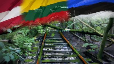 РЖД отбирает у Прибалтики транзит белорусского леса и удобрений