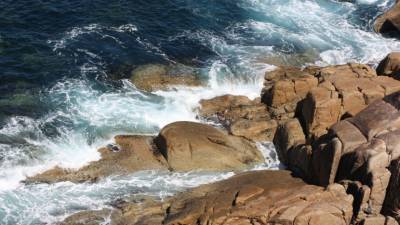 Ученые разгадали тайну желеобразных шаров у берегов Норвегии