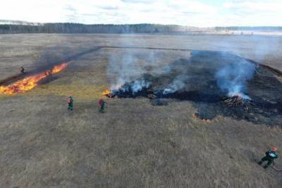 В Тульской области состоялись учения по тушению лесных пожаров