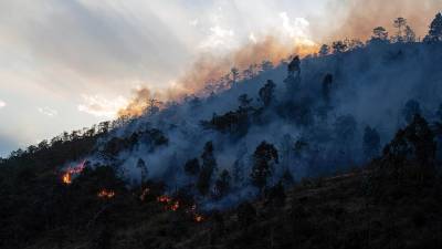 Жители Амурской области почувствовали запах дыма от пожаров в Китае