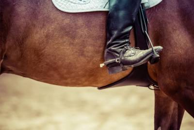 В Смоленске проходит Чемпионат и Первенство города по конному спорту