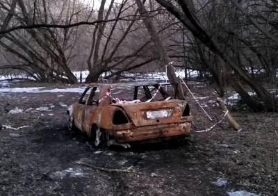 В рязанском Лесопарке обнаружили сгоревший автомобиль - ya62.ru - Рязань