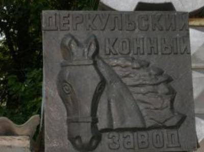 Конезавод с 200-летней историей: Чем знаменит Деркульский конный завод, расположенный на Луганщине