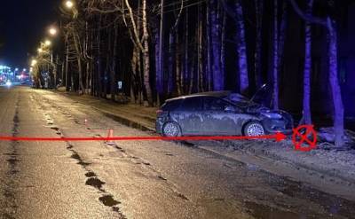 В Сыктывкаре пьяный водитель не поделил дорогу с деревом