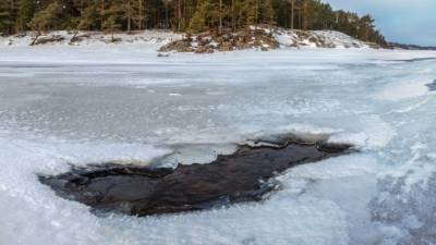 Автомобилист провалился под тонкий лед на Новосибирском водохранилище