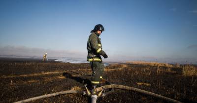 В Калининградской области за сутки потушили больше полусотни палов травы (видео)