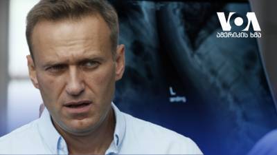 Члены Европарламента призвали послов стран Запада посетить Навального