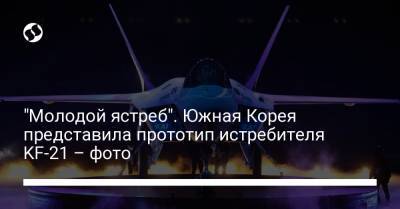 "Молодой ястреб". Южная Корея представила прототип истребителя KF-21 – фото