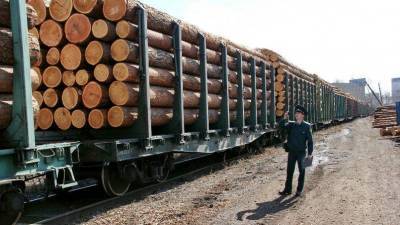 В РЖД заявили о готовности перевозить в порты России белорусские удобрения и лес