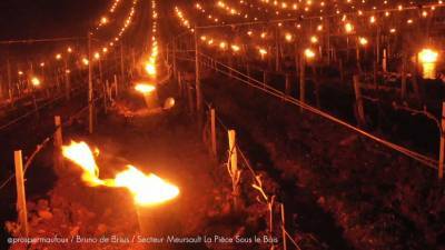 Французские фермеры зажгли свечи для защиты виноградников — видео