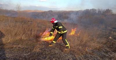 В Украине снова горят экосистемы: около 200 пожаров за сутки