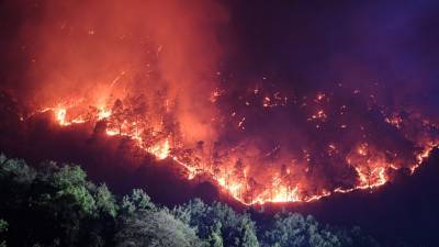 Дым лесных пожаров в Китае принесло в Амурскую область