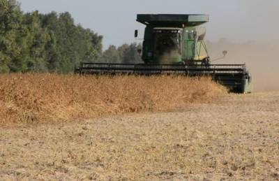 На Тернопольщине названы лидеры по урожайности зерновых