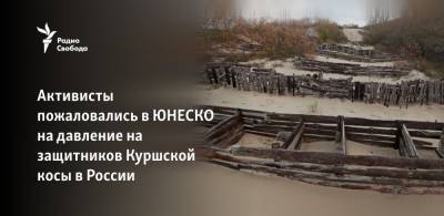 Активисты пожаловались в ЮНЕСКО на давление на защитников Куршской косы в России