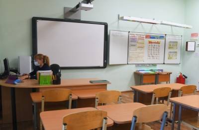 В Госдуме не увидели смысла в запрете дистанционного образования в школах