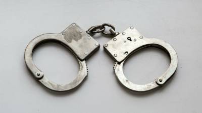 Полиция задержала юношу, участвовавшего в разбойном нападении на семью во Всеволожске