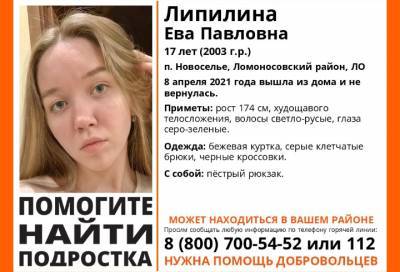 В Ленобласти два дня назад пропала 17-летняя школьница