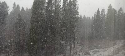 Мокрый снег, дождь и порывистый ветер ожидаются в воскресенье в Карелии
