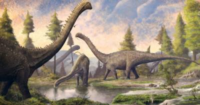 Ученые обнаружили, что динозавры переносили в своих желудках камни