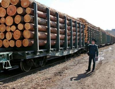 РЖД готовы доставлять в российские порты удобрения и лес из Белоруссии