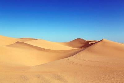Ученые разгадали причину появления таинственных колец в пустыне и мира