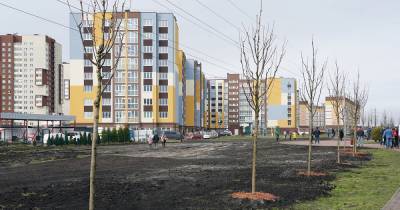 В Калининградской области стартовал губернаторский проект "Зелёный край"
