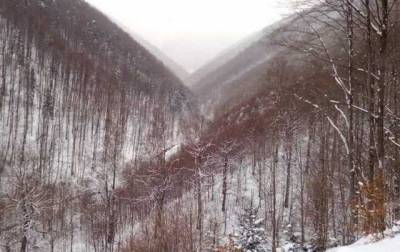 Рятувальники попереджають про сніголавинну небезпеку в Карпатах через потепління
