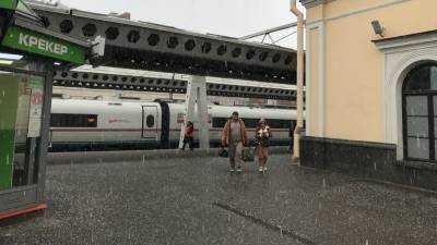 Мокрый снег выпал в Петербурге перед долгожданным потеплением